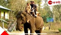 কম খরচে হাতি সাফারি! গরুমারার অত্যাধুনিক ব্যবস্থায় খুশি পর্যটকরা...