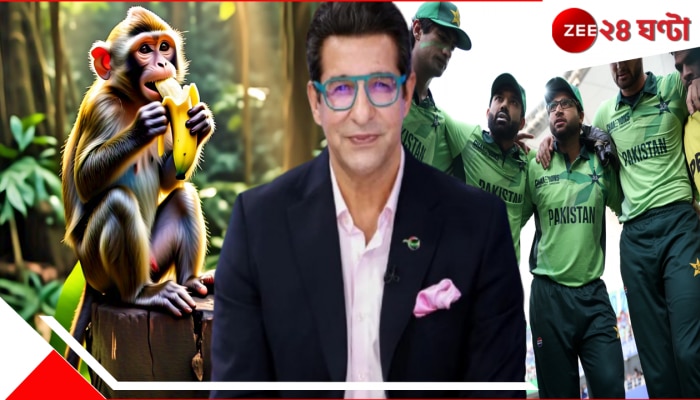 WATCH | Wasim Akram On Pakistan: &#039;এত কলা বাঁদরেও খায় না&#039;! ভাইরাল ওয়াসিম আক্রম, ভুলেও মিস করবেন না ভিডিয়ো...