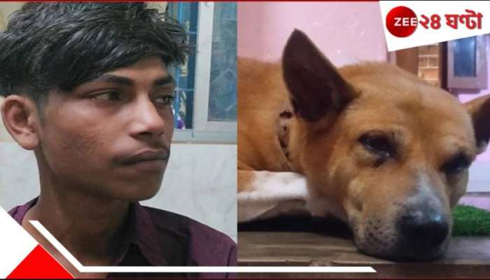 Canning News: চোর-পোষ্যের সম্মুখ সমর! চোরকে কামড়াল কুকুর, পাল্টা কামড় দিল মানুষ, তারপর...