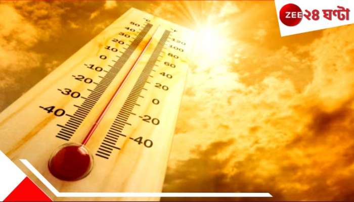 WB Weather Update: কয়েকদিনেই তাপমাত্রার বাড়বাড়ন্ত! বসন্তেই হাঁসফাঁস অবস্থা, কী বলছে আবহাওয়া অফিস?