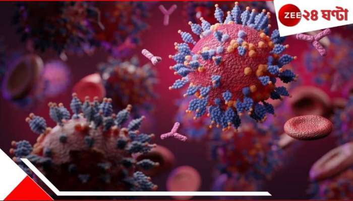 Swine flu Outbreak: প্রায় ৪০০ মৃত, ২০ হাজারের বেশি আক্রান্ত! ফের ভয়ংকর ভাইরাসের থাবা ভারতে... Swine flu Outbreak: প্রায় ৪০০ মৃত, ২০ হাজারের বেশি আক্রান্ত! ফের ভয়ংকর ভাইরাসের থাবা ভারতে...
