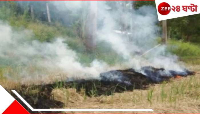 Fire | South 24 Parganas: ভয়ংকর দৃশ্য! মাঠের মাঝে জ্বলন্ত খড়ের গাদা! এক মহিলাও সেই আগুনে জ্বলেপুড়ে 'খাক্'...