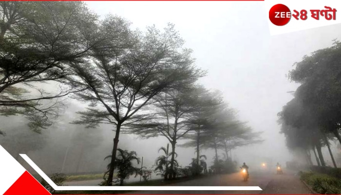 West Bengal Weather Update: আরও কমবে তাপমাত্রা, কবে থেকে লাফিয়ে বাড়বে গরম জানিয়ে দিল হাওয়া অফিস