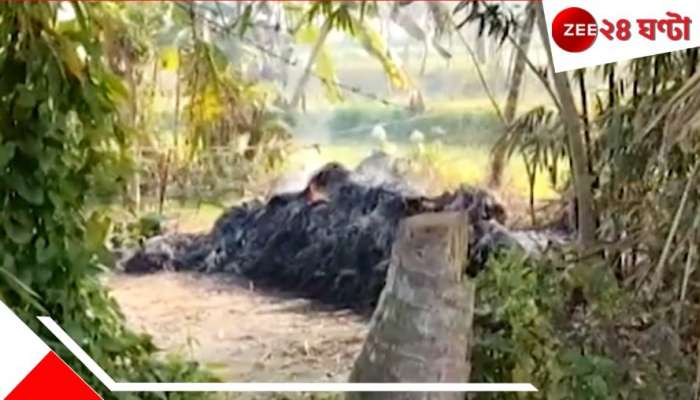 South 24 Parganas: প্রথমে শারীরিক নির্যাতন, তারপর খুন করে খড়ের গাদায় রেখে জ্বালিয়ে দেয় স্বামী! 