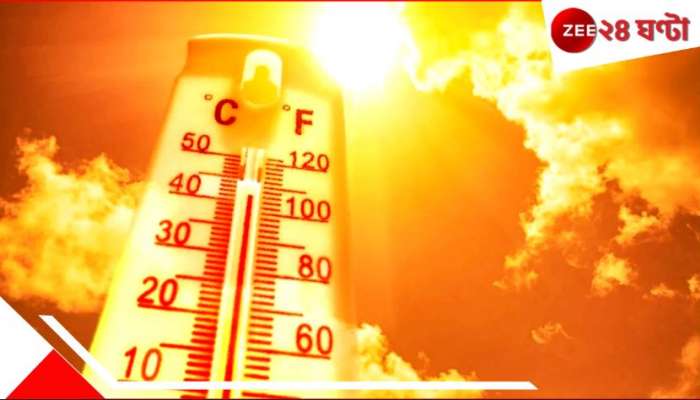WB Weather Update: দোলেই চড়বে পারদ! কলকাতাতেই ৪০ ছোঁবে, জেলার কথা শুনলে...