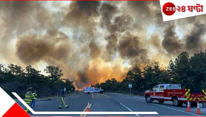 Forest Fire | wildfire | Photos: গিলে খেতে খেতে ধেয়ে আসছে আগুন! ঘন কালো কুণ্ডলী উঠছে আকাশে! ভয়ংকর দাবানলে জারি অ্যালার্ট...