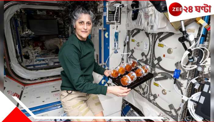 Sunita Williams: ৯ মাস অতিক্রান্ত! অবশেষে সুনীতাদের ফেরাতে চার মহাকাশচারীকে নিয়ে রওনা দিল মাস্কের মহাকাশযান...