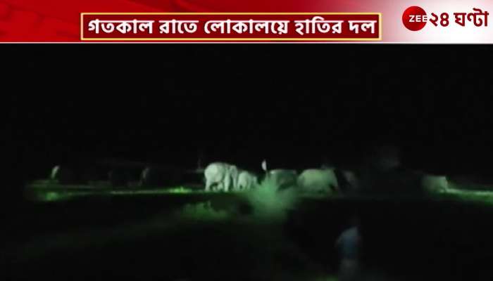 A herd of elephants is roaming in Jhargrams locality causing extensive damage to farming in the area