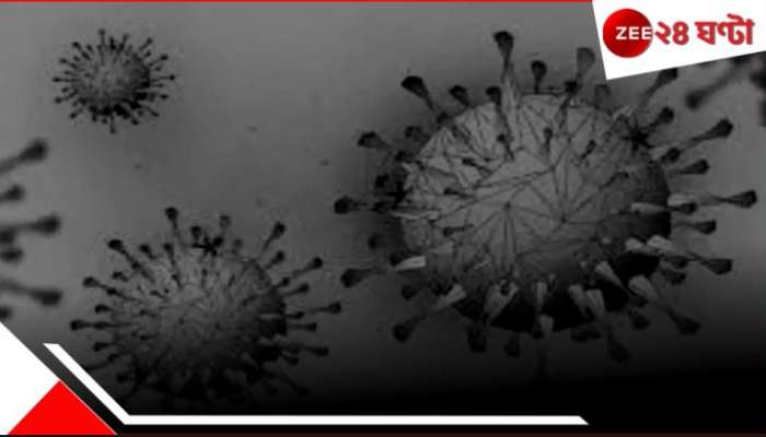 Human Coronavirus: কলকাতায় মহিলার দেহে বিরল হিউম্যান করোনাভাইরাস! বাড়ছে বিপদ, উপসর্গ জানুন... 
