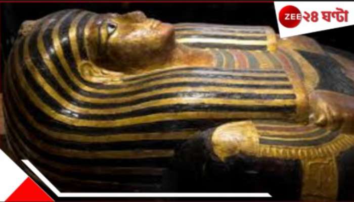 Mysterious Mummy: যোনিতে এক সন্তানের মাথা! আরেক সন্তান বুকে! কিশোরীর ভয়ংকর মমি পরীক্ষায় চমকে উঠলেন গবেষকরা... 
