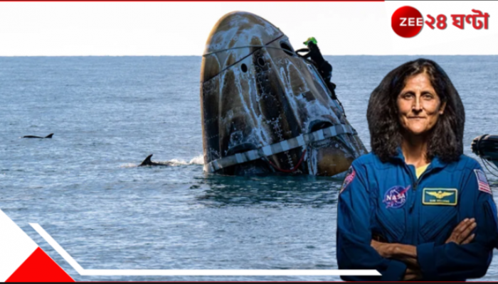 WATCH | Dolphins welcome Sunita Williams: চারিদিকে একঝাঁক ডলফিন! পৃথিবীতে সুনীতাদের জম্পেশ জলজ ওয়েলকাম... 