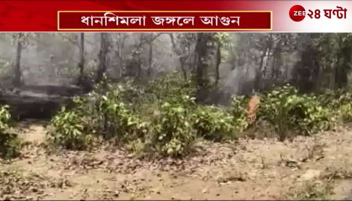 Forest Fire Breaks Out in the Heatwave at Sonamukhis Dhansimla Jungle in Bankura 