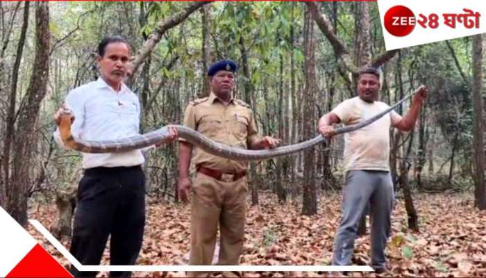 Malbazar: হুলুস্থুল কাণ্ড! জনবহুল এলাকায় উদ্ধার ১১ ফুটের বিষধর, তটস্থ এলাকাবাসী...