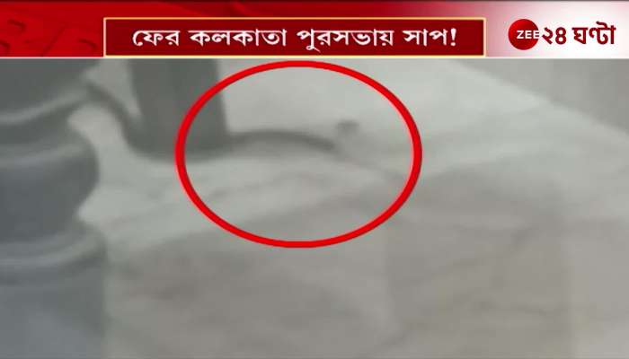 Snakes inside Kolkata Municipalitys printing department again