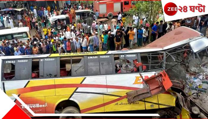 Bus Accident: ওভারটেক করতে গিয়ে পিলারে ধাক্কা দিয়ে খাদে পড়ল বাস, ঘটনাস্থলেই মৃত ৭, আহত বহু 