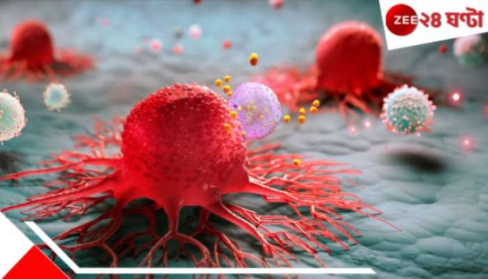Cancer: 'প্রকৃতি-ই' কারণ! কেন এত ক্যান্সারের বাড়বাড়ন্ত? সমীক্ষায় চূড়ান্ত উদ্বেগজনক রিপোর্ট... Cancer: 'প্রকৃতি-ই' কারণ! কেন এত ক্যান্সারের বাড়বাড়ন্ত? সমীক্ষায় চূড়ান্ত উদ্বেগজনক রিপোর্ট...
