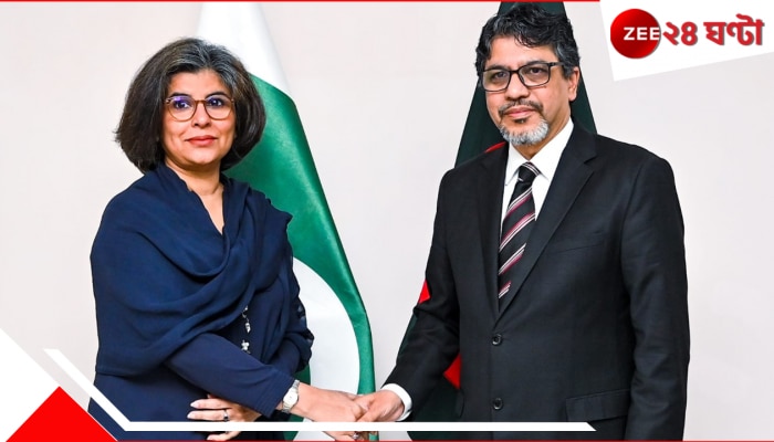 Bangladesh Pakistan Meet: টানা ৫ দশক ধরে চাপা বহু ক্ষোভ, ১৫ বছর পর বৈঠকে বাংলাদেশ-পাকিস্তানের পররাষ্ট্র সচিবরা!