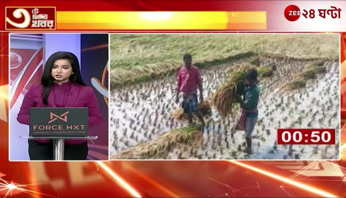 Crops Destroyed Across Large Areas of South 24 Parganas Due to Thunderstorm and Rain