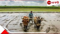 ধান-তিল-বাদাম! নষ্ট ফসল নিয়ে আশঙ্কায় কৃষকরা! এর পরে আরও বৃ্ষ্টি হলে কী হবে?