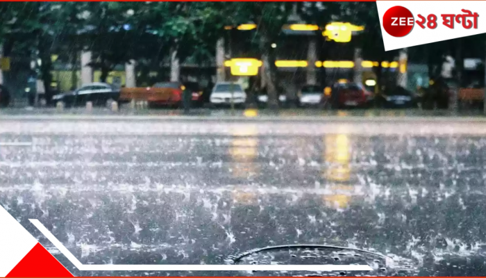 Bengal Weather Update: অবশেষে স্বস্তির আভাস! ৬ জেলায় ধেয়ে আসছে কালবৈশাখী, সঙ্গে শিলাবৃষ্টি...