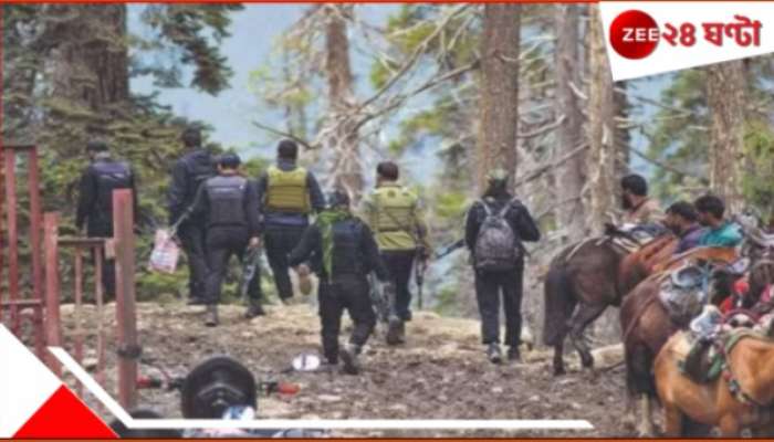 Pahalgam Attack: ভারতকে দুষে দায় অস্বীকার পহেলগাঁও হামলার! বিশ্বের নজর ঘোরাতে নয়া &#039;নাটক&#039; TRF-র...