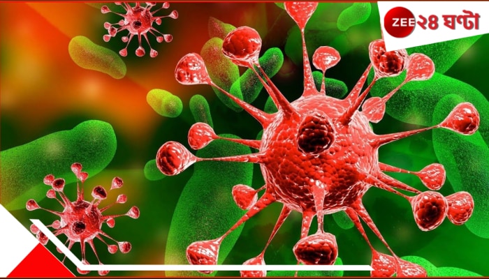 Prediction of Pandemic of Infectious Disease: ফিরছে দুঃস্বপ্নের দিনরাত্রি? ভয়ংকর সংক্রামক এক মারণ রোগে ছারখার হবে এ পৃথিবী!