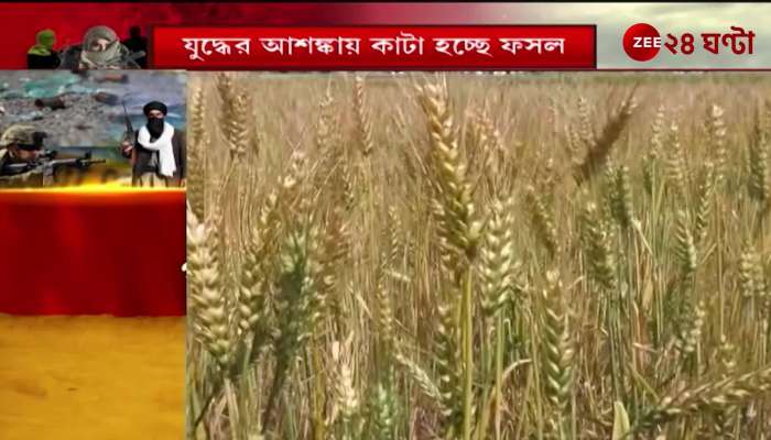 Fear of imminent war on the India Pakistan border farmers harvesting crops 
