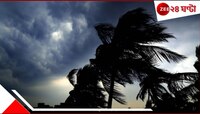মাত্র কয়েক মিনিটের কালবৈশাখি ঝড়ে লন্ডভন্ড সব! উড়ে গেল বাড়ির চাল, ভাঙল...