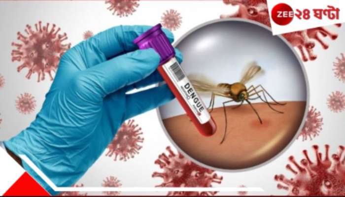 Dengue Vaccine: ডেঙ্গিতে আর ভয় নেই! আগামী বছরই ভারতে আসছে জাপানি ভ্যাকসিন... Dengue Vaccine: ডেঙ্গিতে আর ভয় নেই! আগামী বছরই ভারতে আসছে জাপানি ভ্যাকসিন...