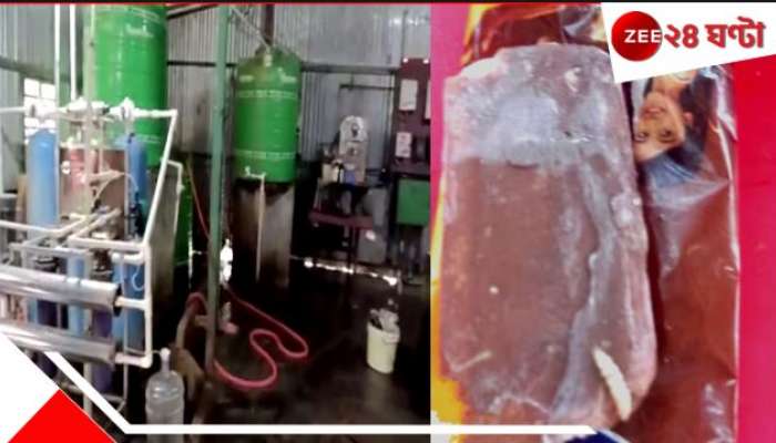 Worms in Ice Cream: প্যাকেট ছিঁড়তেই আইসক্রিম থেকে কিলবিল করে বেরোচ্ছে পোকা! কারখানা বন্ধ করল প্রশাসন...