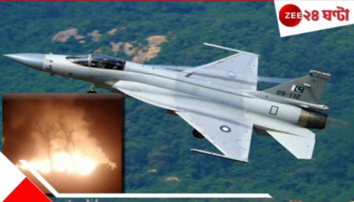 India Pakistan War: ভারতীয় সেনার বিক্রমে চুরমার পাক যুদ্ধবিমান! রাতভর চেষ্টায় দাঁতও ফোটাতে পারেনি সীমান্তে...