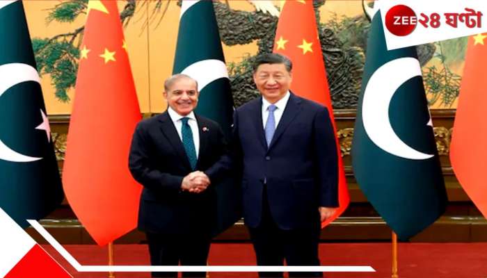 China's role in India Pakistan War: ভারতের চাবকানোর দাগ সারা শরীরে, বিপন্ন পাকিস্তান চিনকে বলছে, হুজুর, বাঁচাও...