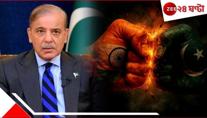 India Pakistan Ceasefire: গিরগিটি পাকিস্তান! সংঘর্ষবিরতিকে নিজেদের জয় বলে কাগুজে বাঘ সাজছেন শেহবাজ...
