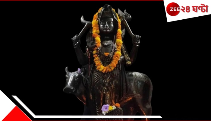 Shani Jayanti 2025: সাড়েসাতি-ঢাইয়ার ভয়ংকর কোপে? শনিজয়ন্তীতেই পাবেন প্রতিকার, ৫ রাশির জাতক-জাতিকাকে...