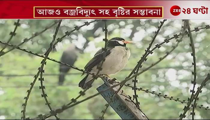 Thunderstorms and Rain Likely Throughout the Week Says Alipore Weather Office