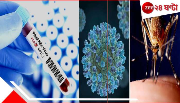 Deadly Disease West Nile Virus: কোভিডও মূর্ছা যাবে! আরেক ভয়ংকর ভাইরাস ছড়াচ্ছে ইংল্যান্ডে, কোনও চিকিত্‍সা নেই...