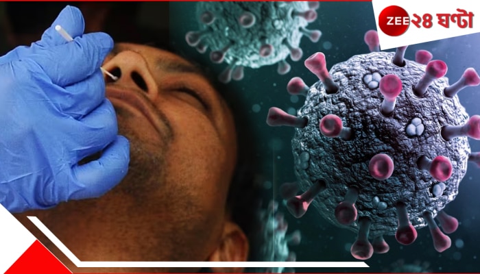 Covid JN1 Symptoms: চোখ রাঙাচ্ছে পিরোলা!  যে লক্ষণ দেখে আপনি সতর্ক হবেন...