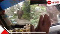 পাহাড়ি রাস্তায় গাড়ির সামনে হঠাৎ বিশাল হাতি! তারপর...