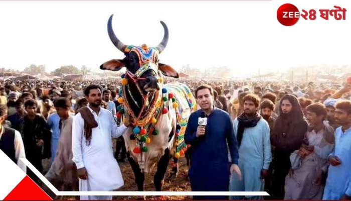 Imran Khan auction Price 80 Lakhs: ঈদেই জবাই 'ইমরান খান'? পাকিস্তানে দাম উঠেছে ৮০ লাখ!