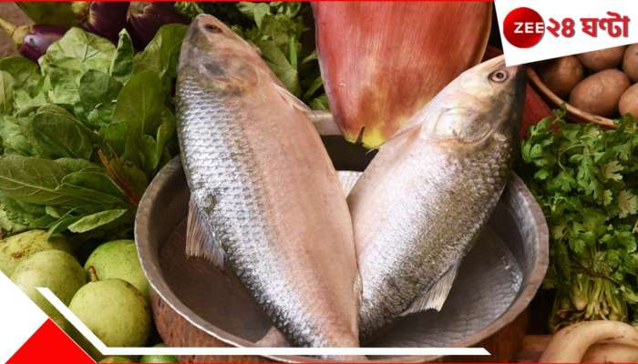 Hilsa: পদ্মার ইলিশ! সে এখন স্বপ্ন, জামাইয়ের স্বাদ পূরণে বাজার ছেয়েছে এই মাছে...