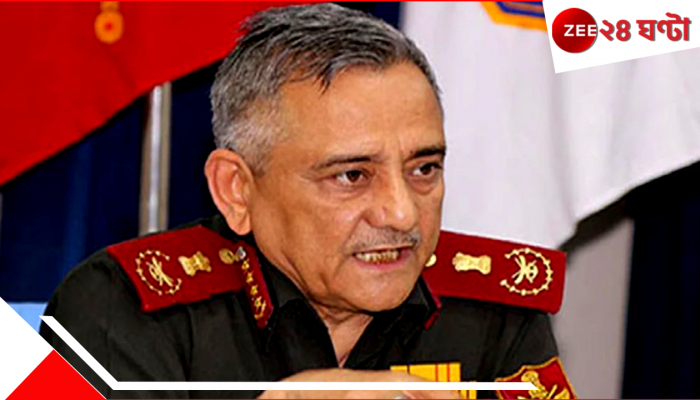 Operation Sindoor: পাকিস্তানের আকাশে ধ্বংস ভারতের যুদ্ধবিমান? বড় কথা বলে দিলেন সেনাপ্রধান 