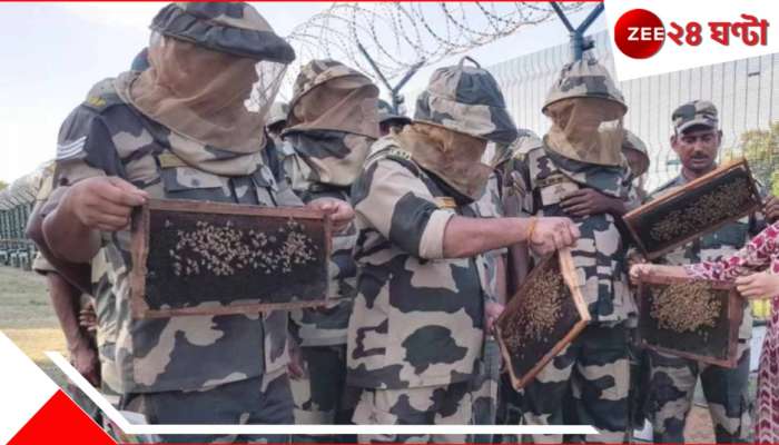 India-Bangladesh Border: অবৈধভাবে সীমান্ত পেরোলেই তেড়ে যাবে মৌমাছি! বিএসএফের অনবদ্য চিন্তা...