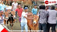 অস্ত্র দেখিয়ে গোরু ছিনতাইয়ের চেষ্টা, কুরবানির পশু রক্ষা করতে হিমশিম ব্যবসায়ী