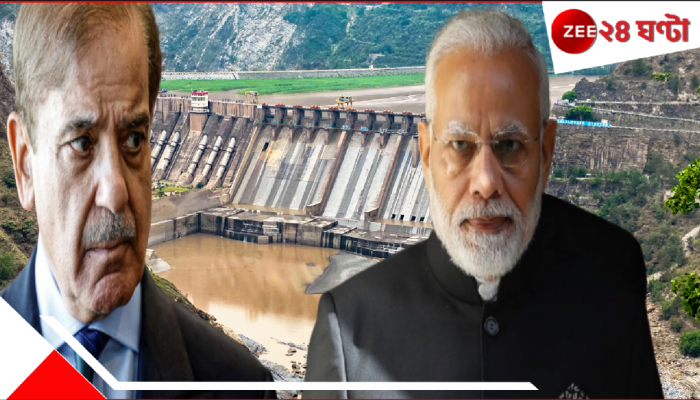 India Pakistan Tension: 'এবার না খেয়ে মরব, কিছু একটা করুন'! 'অপারেশন সিঁদুরে'র পরই পাকিস্তান কেন পরপর ৪ চিঠি লিখল ভারতকে?