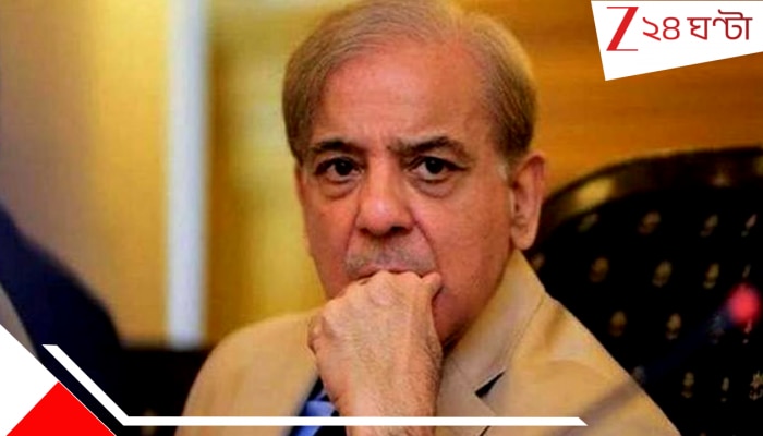 Pakistan&#039;s Debt: ভয়ংকর পরিণতির ইঙ্গিত, পাকিস্তানের মাথায় ২৩০০০০০ কোটি টাকা ঋণের বোঝা