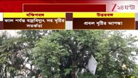 Weather Update | দুর্যোগের বার্তা রাজ্যে! বজ্র-ঝড়ে বিধ্বস্ত হওয়ার আশঙ্কা একাধিক জেলায় | Zee 24 Ghanta