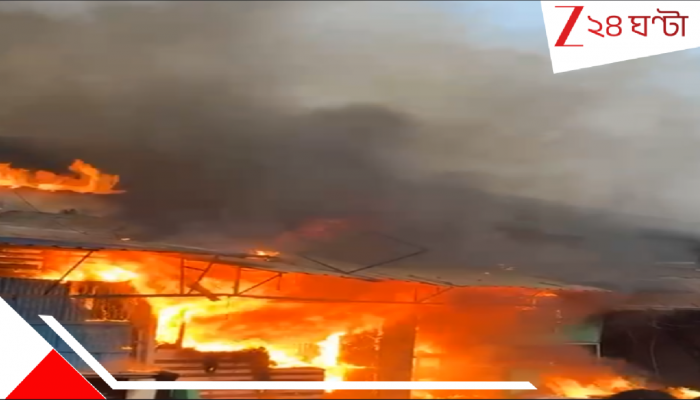 Khidirpur Market Fire: বীভৎস! দেড়শো বছরের প্রাচীন বাজারে মোট ১৩০০ দোকানের কিছু বাদ দিলে প্রায় গোটা মার্কেটই পুড়ে ছাই...