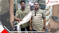 জালে পড়ল আড়াই কেজির রাজা ইলিশ, নিলামে দাম উঠল...