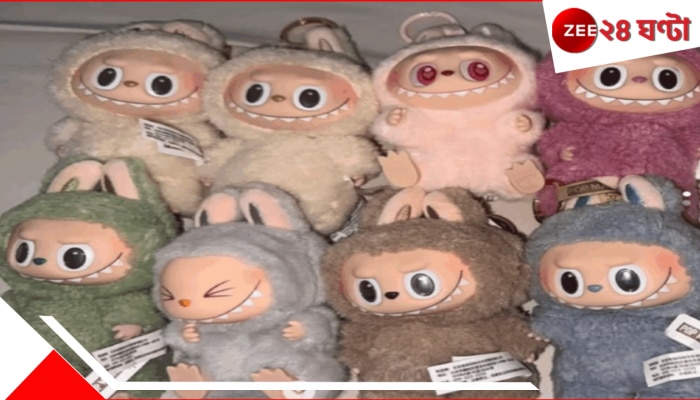 Labubu Doll: লাবুবু নিয়ে এত মাতামাতি! ঠিক কেন এর খ্যাতি?