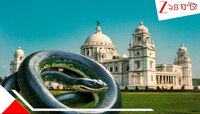 অবিশ্বাস্য! আমাজনের ত্রাস দৈত্যাকার ভয়ংকর সবুজ অ্য়ানাকোন্ডা এবার কলকাতায়...